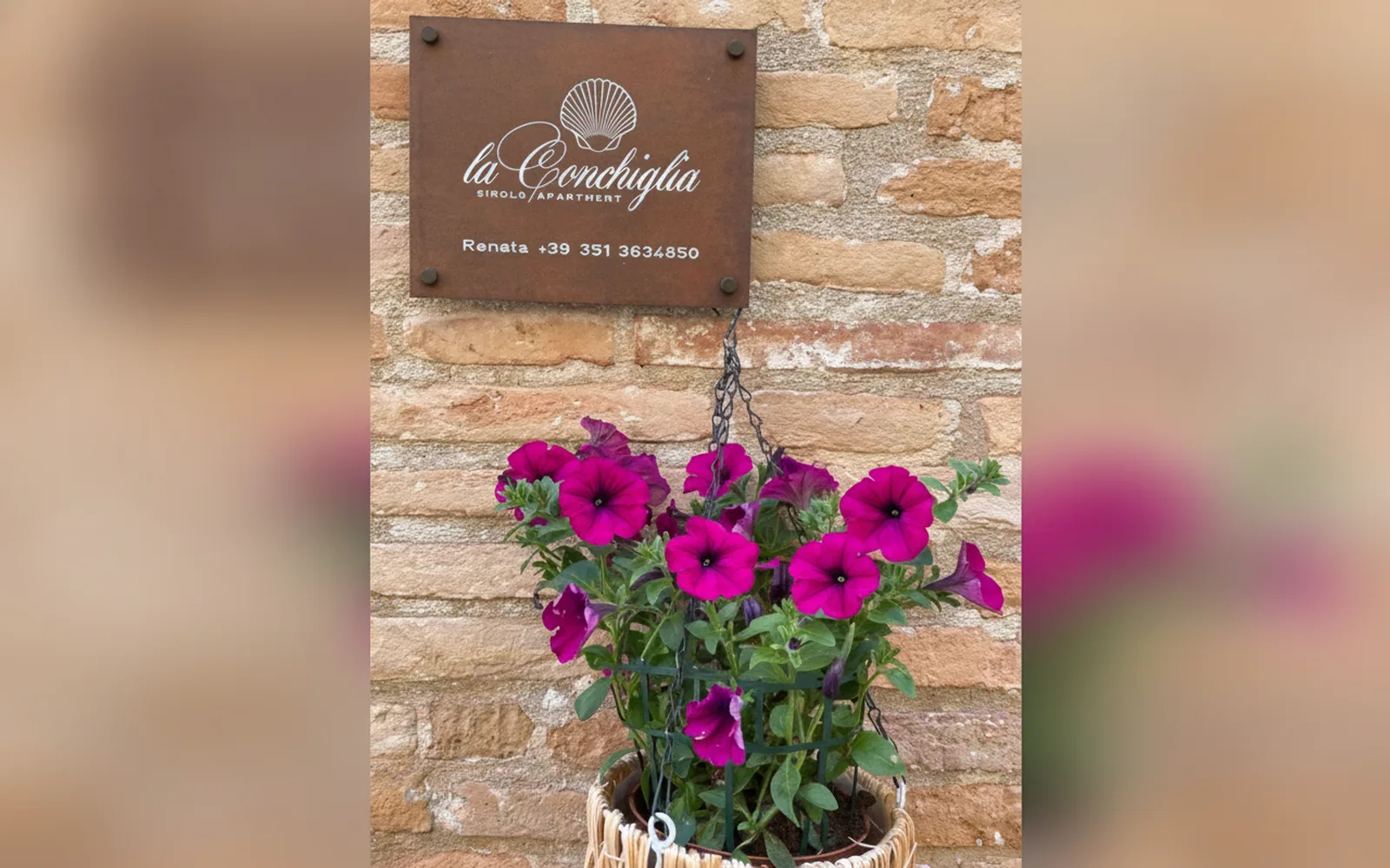Camera con bagno privato — LA CONCHIGLIA - Sirolo Suite, Sirolo (Marche) (foto 18)